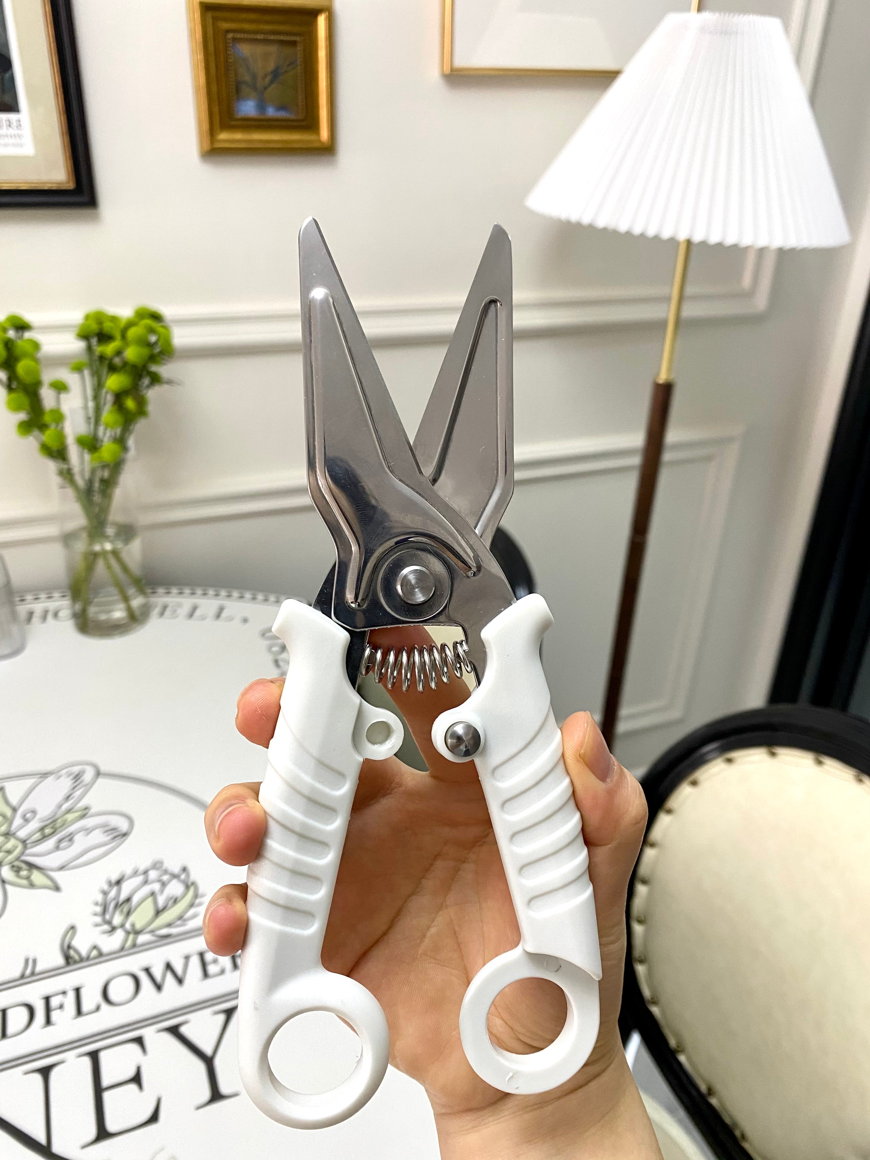 MULTIFUNTIONAL SISSOR